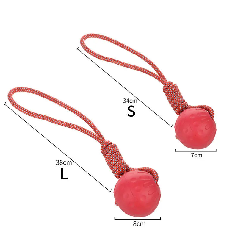 Durable Rubber Ball Toy - BarkAvenueButique