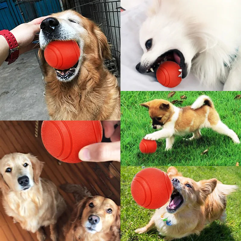 Durable Rubber Ball Toy - BarkAvenueButique