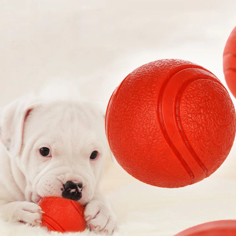 Durable Rubber Ball Toy - BarkAvenueButique