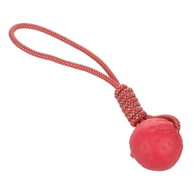 Durable Rubber Ball Toy - BarkAvenueButique