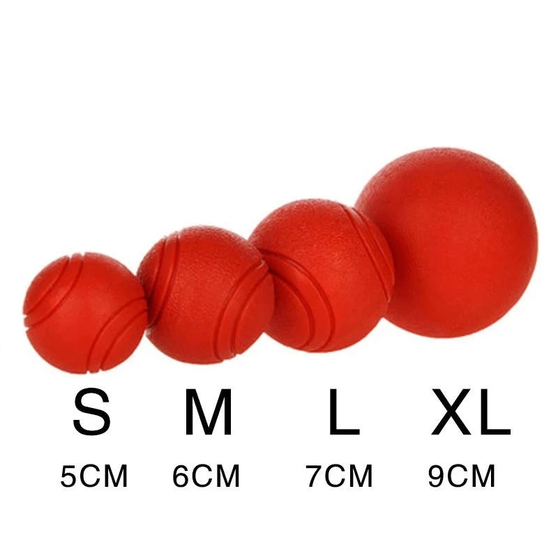 Durable Rubber Ball Toy - BarkAvenueButique