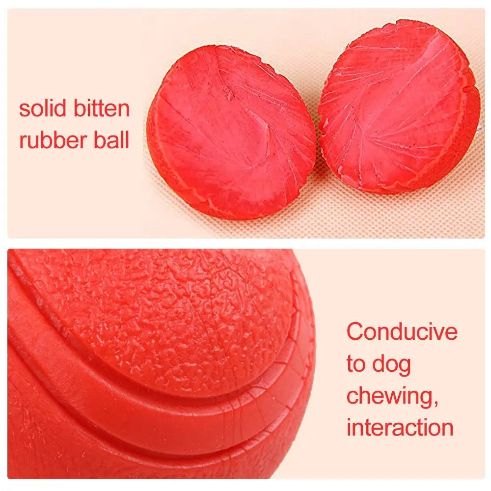 Durable Rubber Ball Toy - BarkAvenueButique
