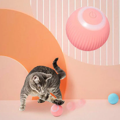 Automatic Electric Pet Ball Toy