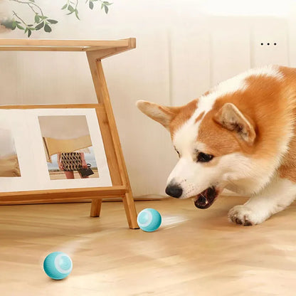 Automatic Electric Pet Ball Toy