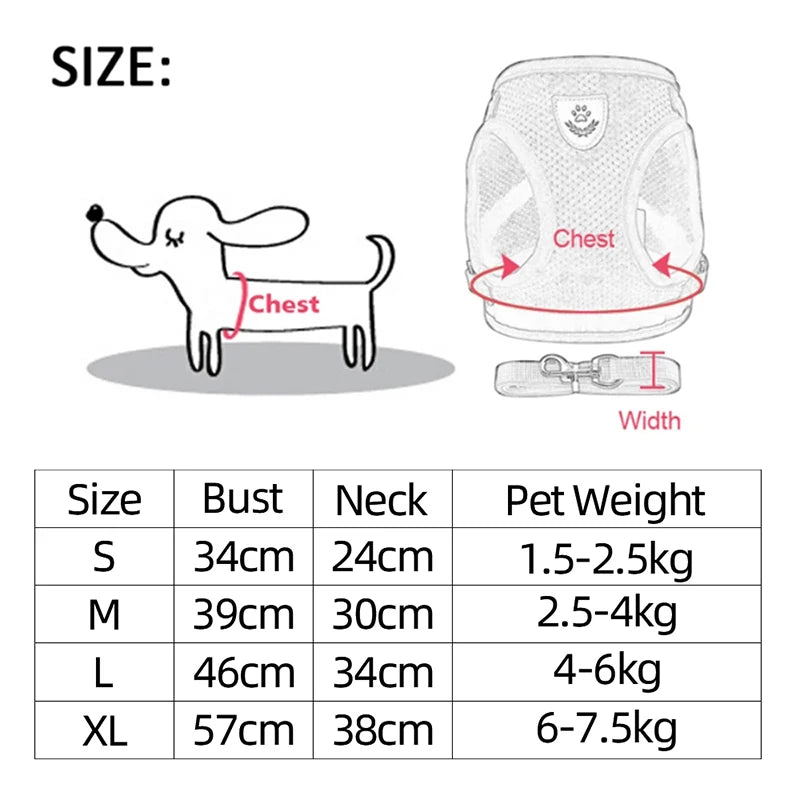 Pet Mesh Harness with Leash
