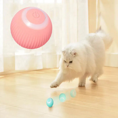 Automatic Electric Pet Ball Toy