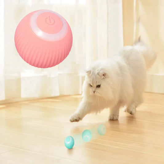 Automatic Electric Pet Ball Toy