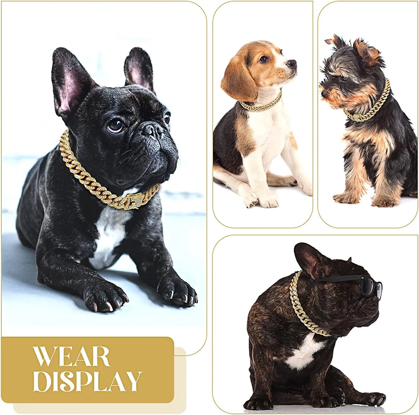Gold Chain Collar for Pets