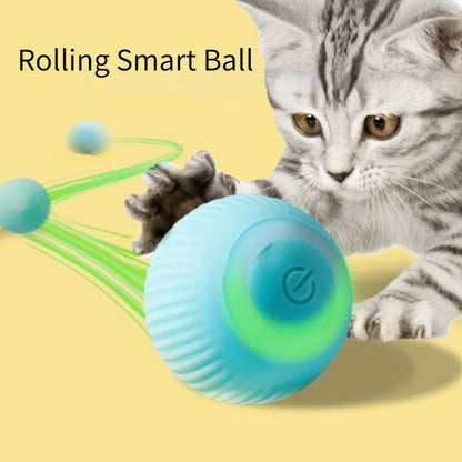 Smart Pet Automatic Toy Rolling Ball